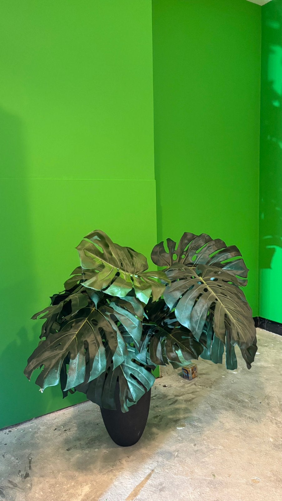 Kunstplant, Ophalen, Binnen, Groen, Kunstplant