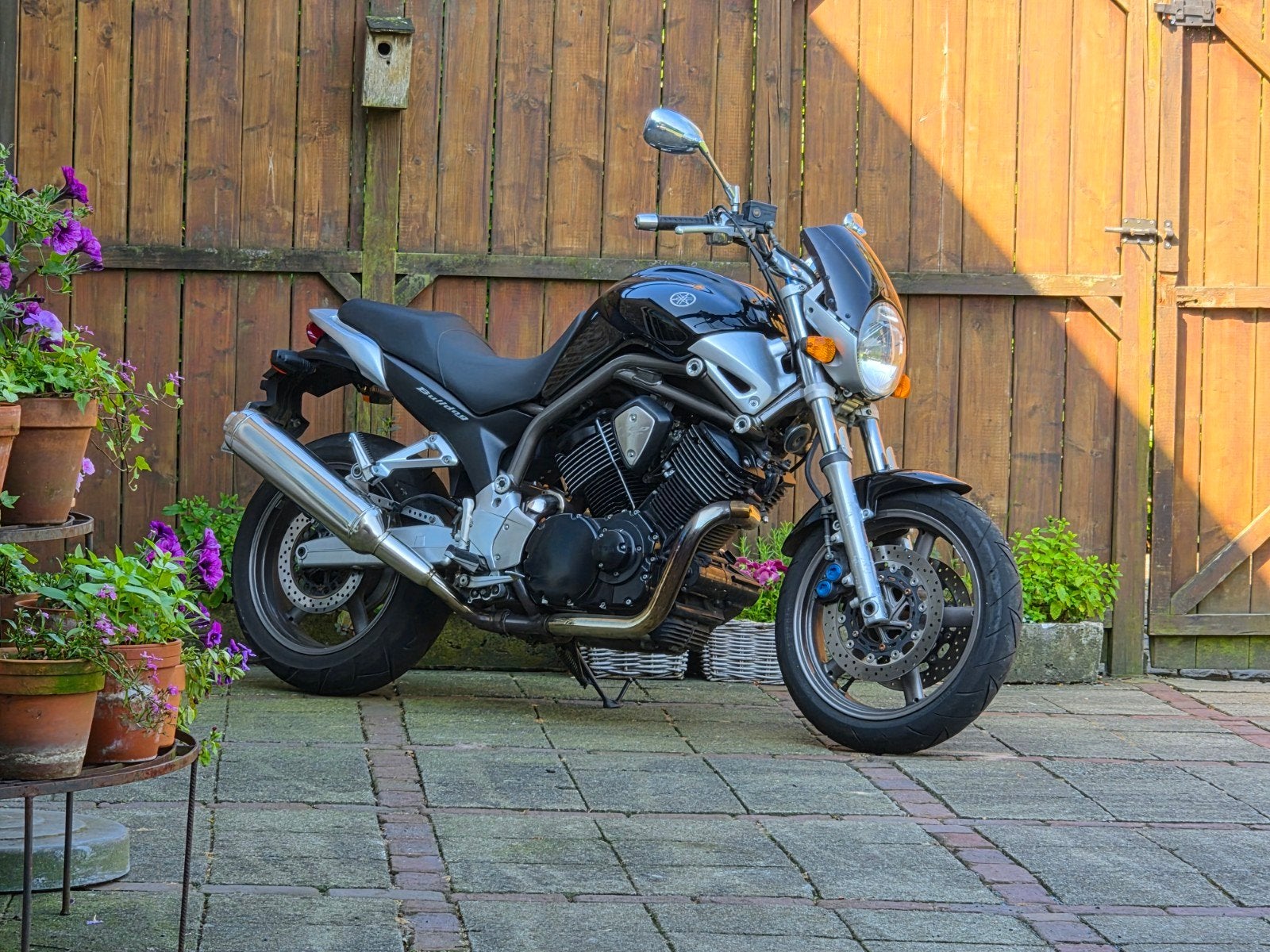 yamaha bulldog, BT 1100, naked bike, weinig kilometers, Motoren, Motoren | Yamaha, Particulier, Ophalen