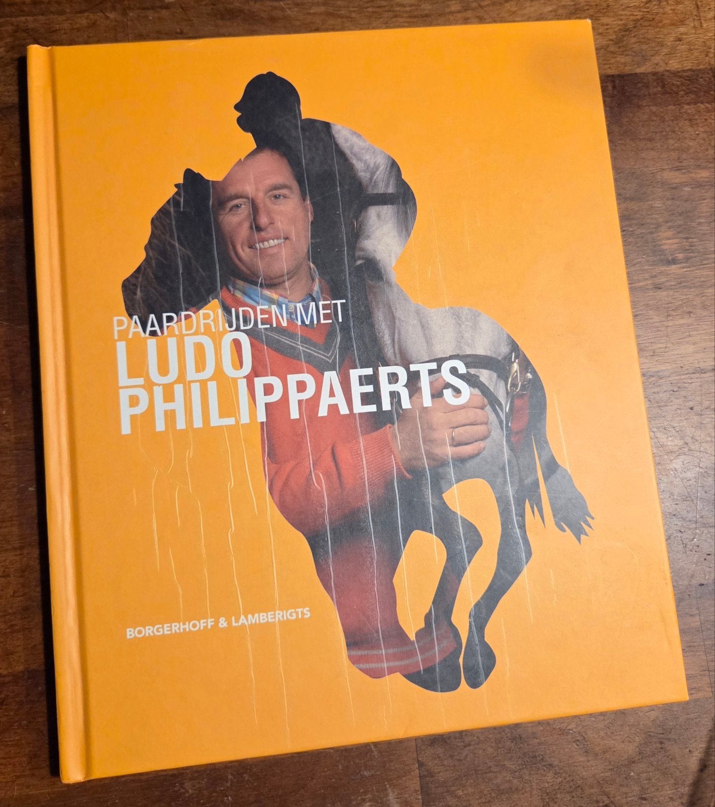 Paardrijden met Ludo Philippaerts, Ophalen of Verzenden, Zo goed als nieuw, Ludo Phillippaerts
