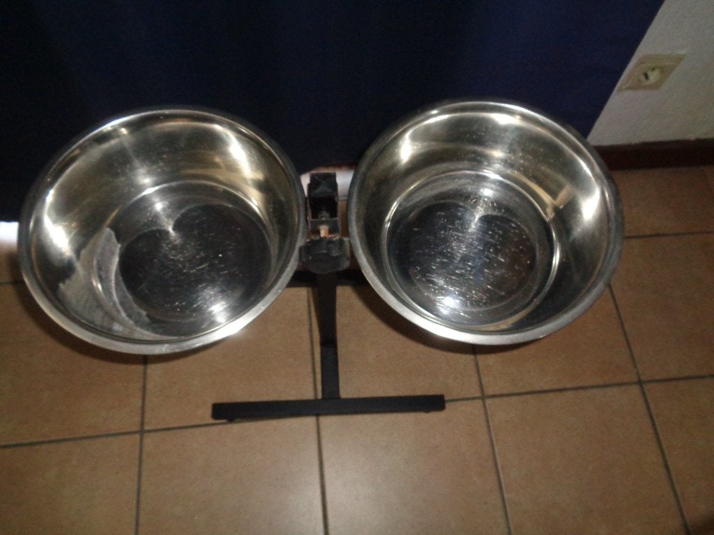 Standaard met RVS kommen voor grote hond(en), Dieren en Toebehoren, Ophalen of Verzenden, Anti-schrok, Zo goed als nieuw