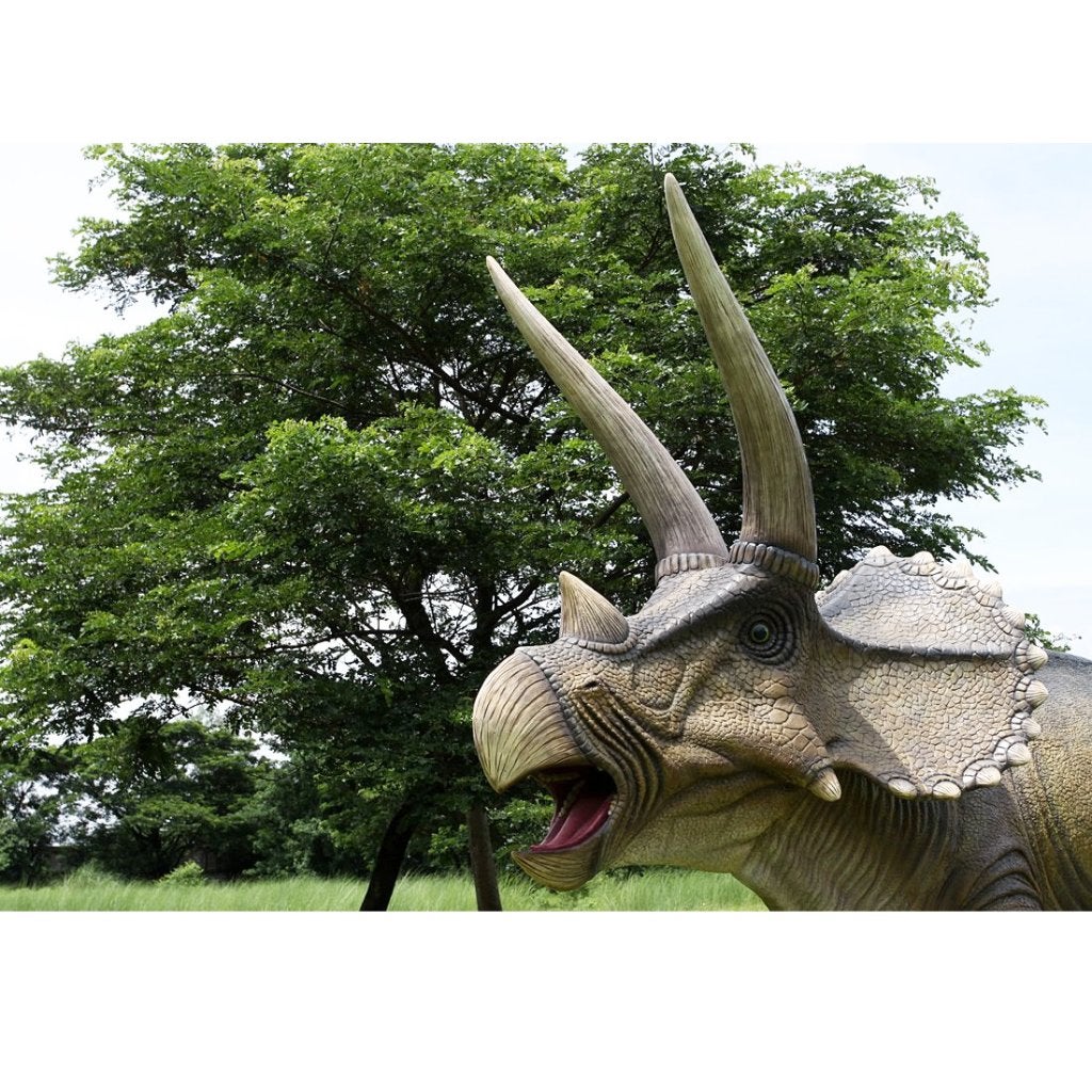 Triceratops – Dinosaurus beeld Lengte 434 cm, Ophalen, Nieuw