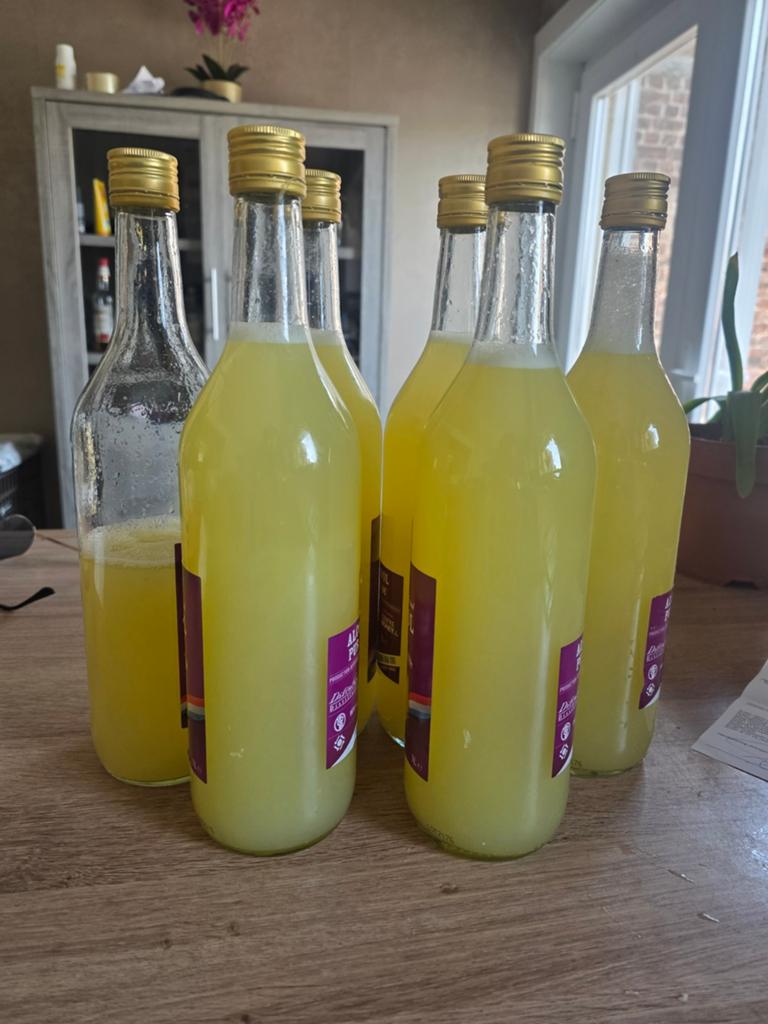 100% puur Amalfi citroensap – vers geperst, Boeken, Ophalen, Nieuw