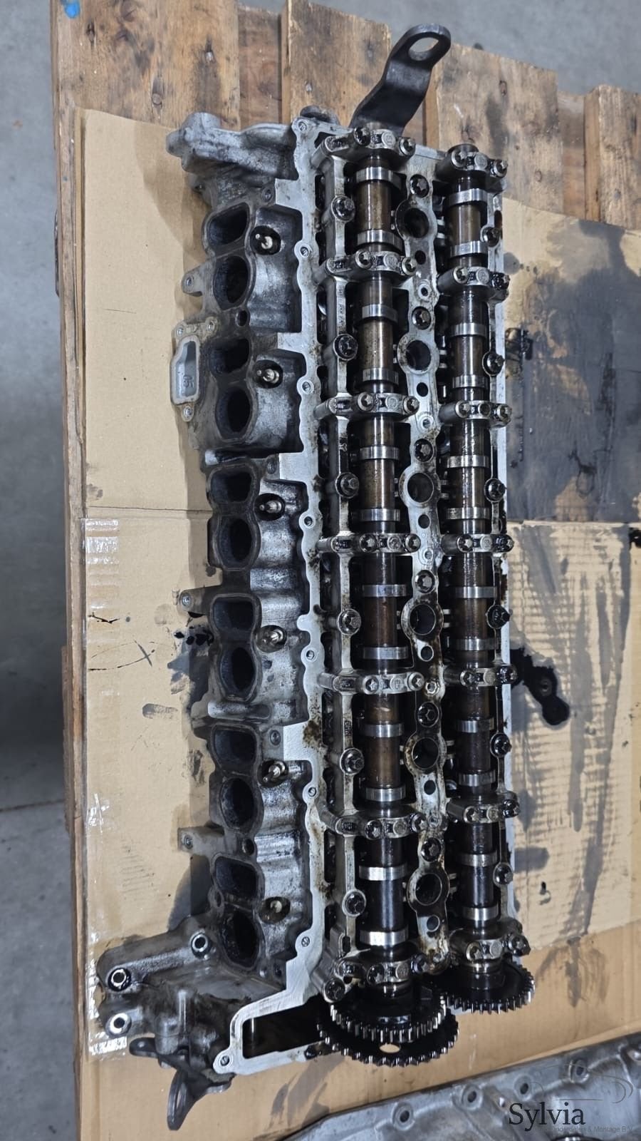 Cilinderkop N57 BMW 3 / 4 / 5 / 7 / X3 / X4 / X5 / X6 serie, -, Utilisé, -, -