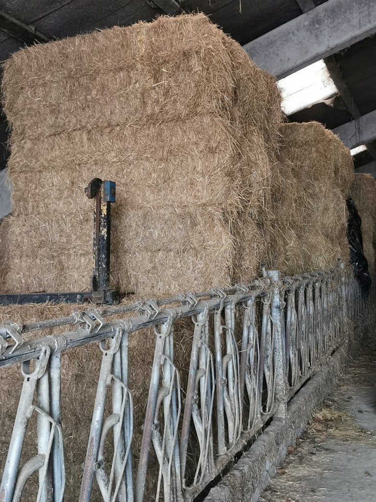 Foin et Préfané, Enlèvement