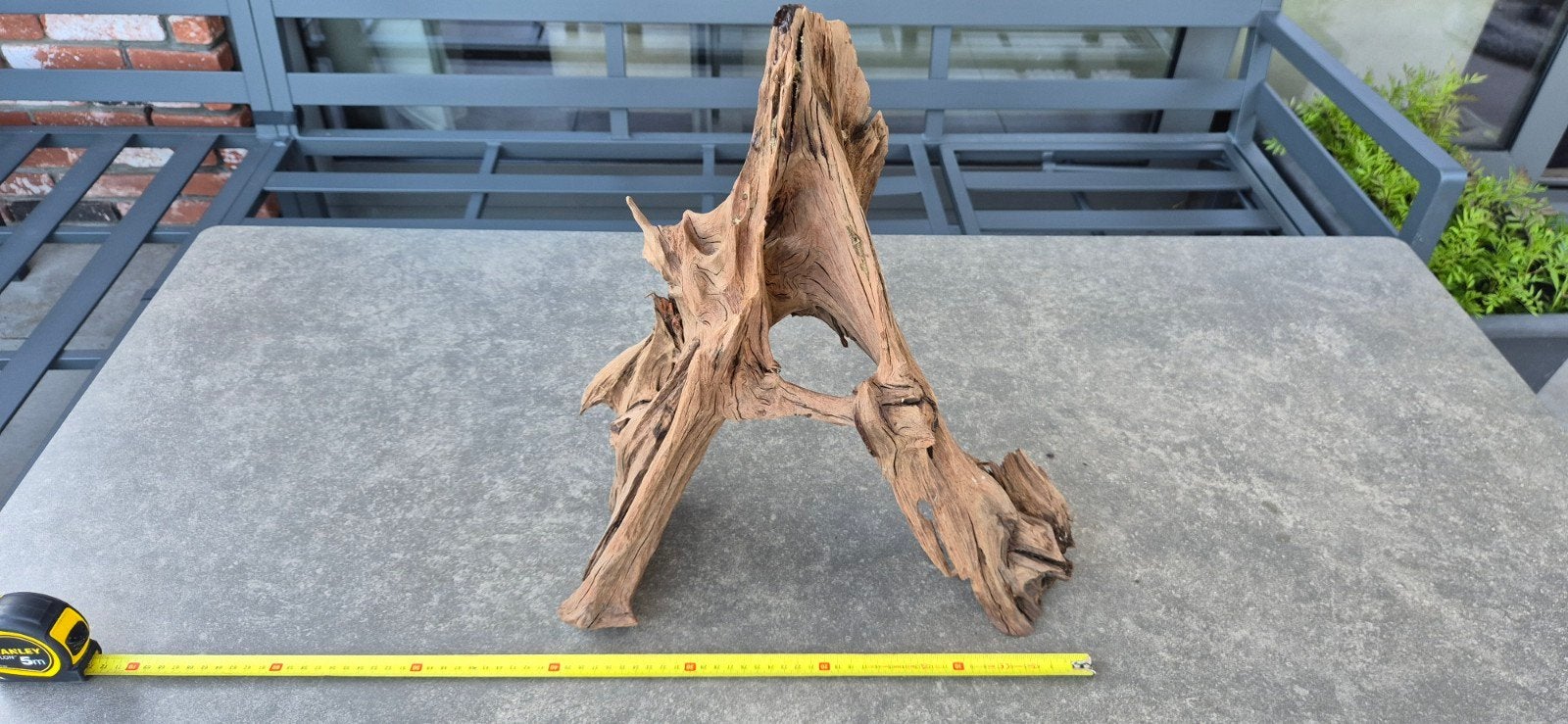 Aquarium hout/ kienhout, Dieren en Toebehoren, Ophalen of Verzenden