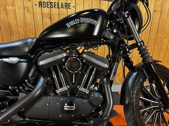 Harley-Davidson Iron 883 (bj 2015), Motoren, Motoren | Harley-Davidson, Via Galileo Galilei 1
30033   Noale, IT, Aprilia, Bedrijf