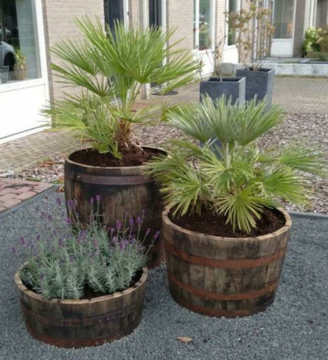 Prachtige eiken kuipen, tonnen van Wijnvat of  Whiskyvat, Tuin en Terras, Ophalen, Rond, Nieuw, 60 tot 100 cm