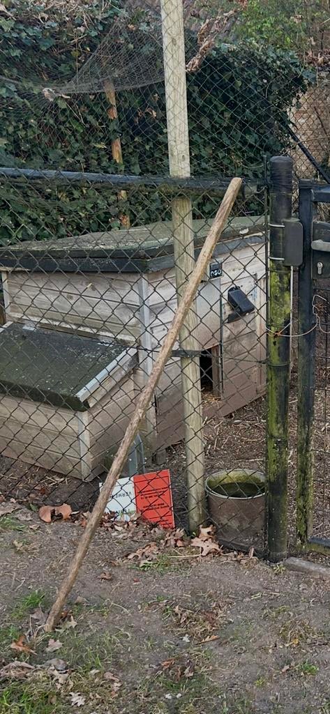Kippenhok met vossenluik, Dieren en Toebehoren, Ophalen