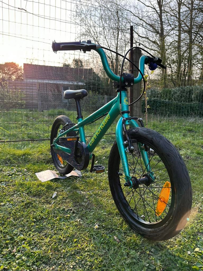 Cannondale Kids Trail 16” bmx 2023 kinderfiets (4-6 jaar), Fietsen en Brommers, Ophalen, Zijwieltjes, 16 tot 20 inch, Velgrem