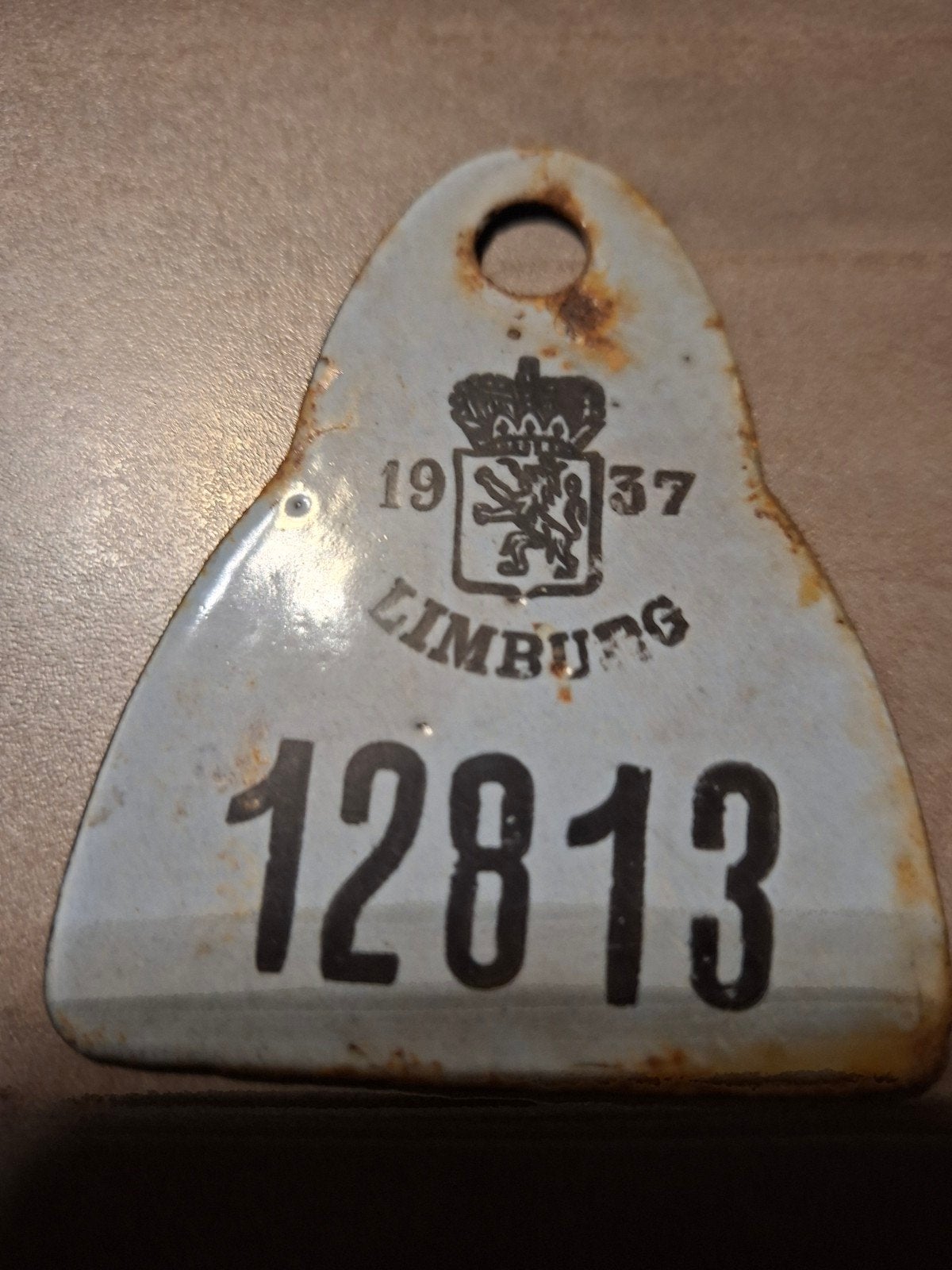 retro fietsplaat, Ophalen of Verzenden, Gebruikt