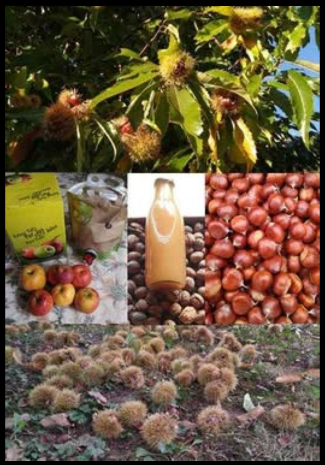 Jus de pommes / pommes-poires 3L., Enlèvement