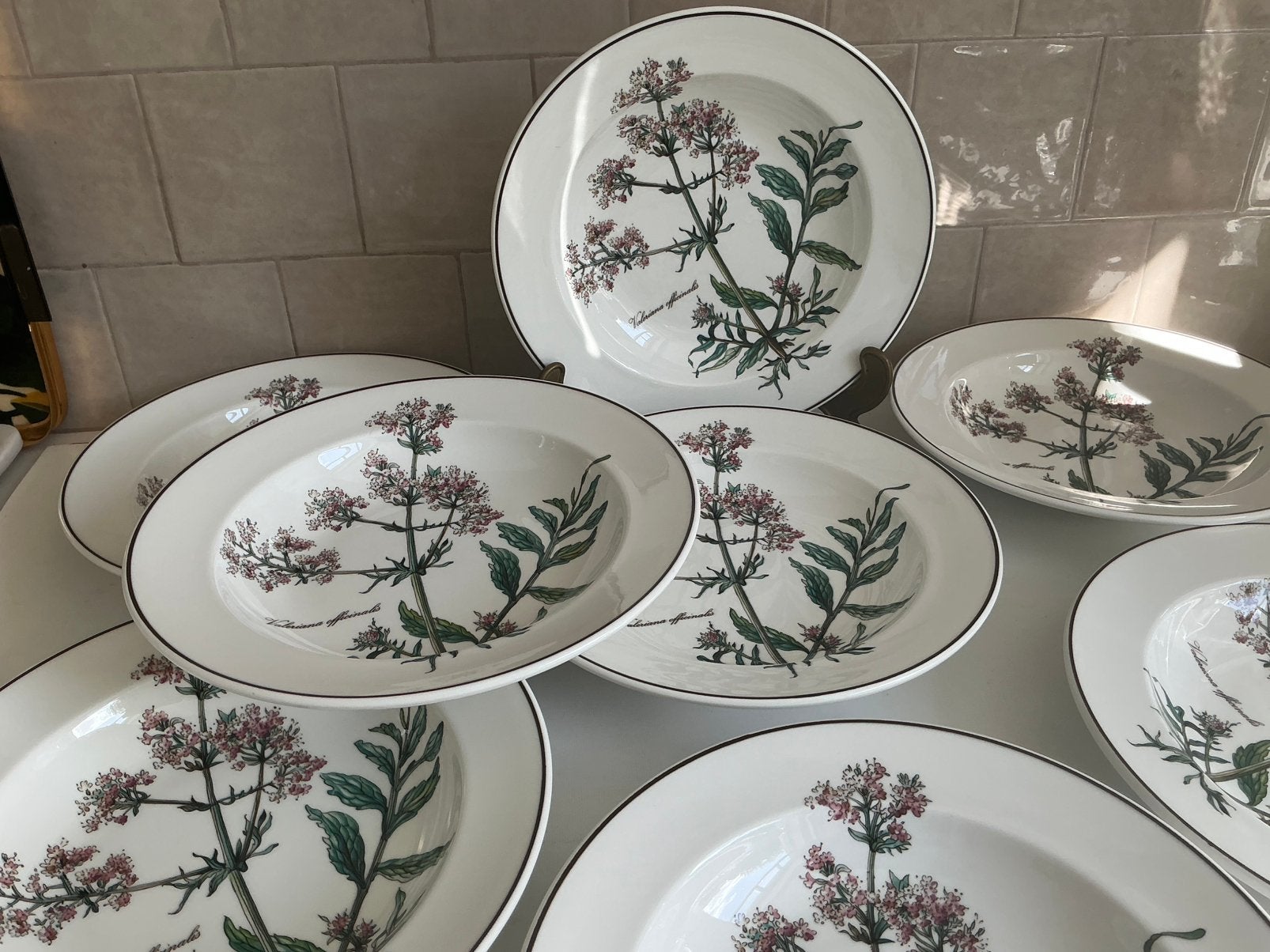 Villeroy & Boch Botanica 8 diepe borden, Ophalen of Verzenden, Villeroy & Boch, Bord(en)