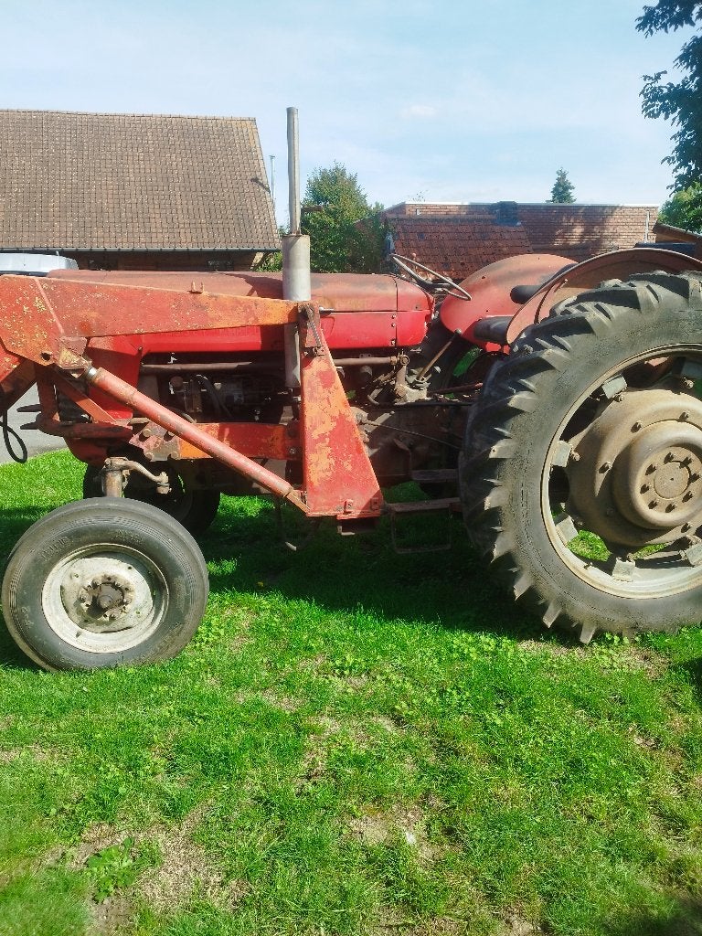 Massey Ferguson 65 Mark 1 hoge klaring, Zakelijke goederen, Ophalen, Oldtimer, Tot 80 Pk, Massey Ferguson