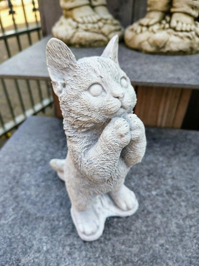 Betonnen tuinbeeld - smekende kat, Enlèvement ou Envoi, Neuf, Béton, Animal
