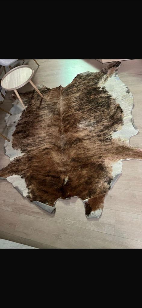 Tapis, Maison & Meubles