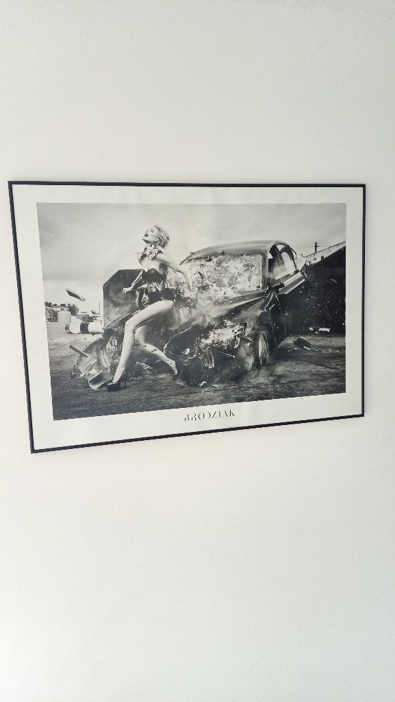 De kunst van het fotograferen, Ophalen, Poster, Fotografie, Gesigneerd