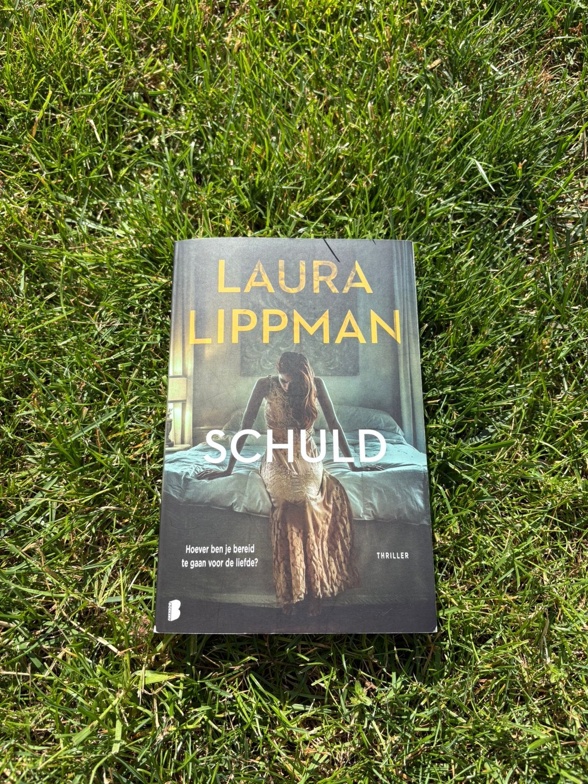 Boek Schuld, Ophalen of Verzenden, Gelezen