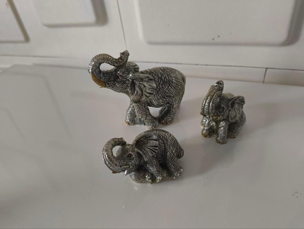 Éléphants en argent sterling, Enlèvement, Argent