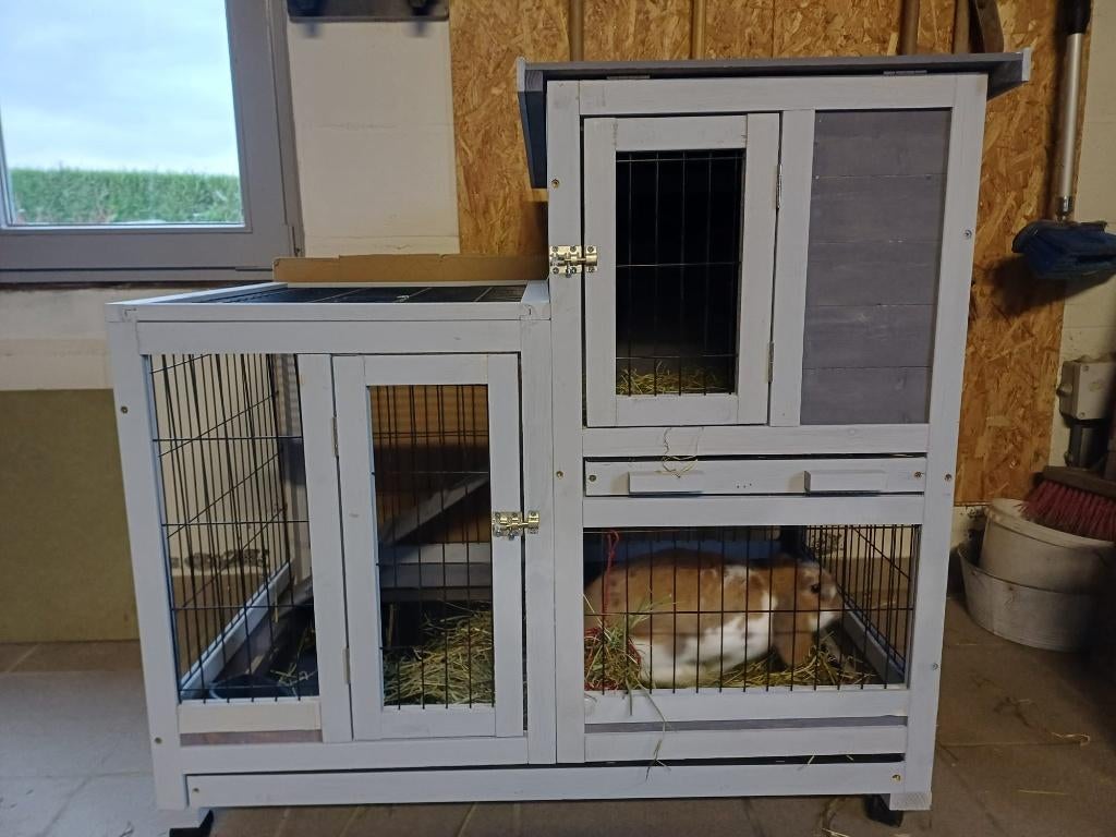 Konijnenhok, Animaux & Accessoires, Rongeurs & Lapins | Cages & Clapiers, Neuf, Niche, 90 cm ou plus, 75 à 110 cm, Lapin, Enlèvement