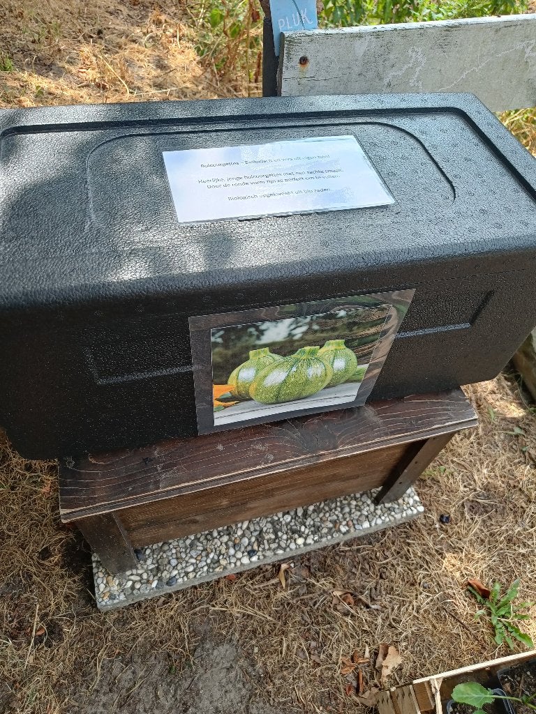 Verse bio bol courgettes, Ophalen