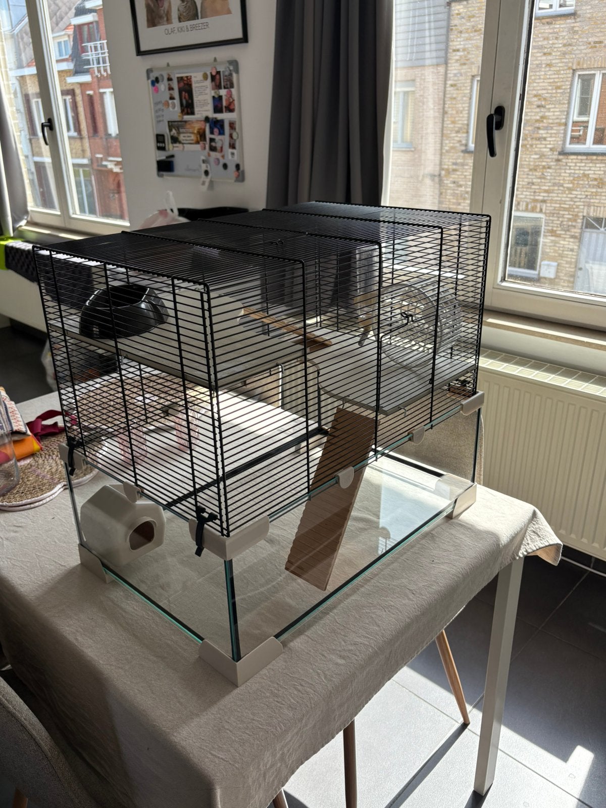 Hamsterkooi, Dieren en Toebehoren, Ophalen, Gebruikt, Kooi, Hamster