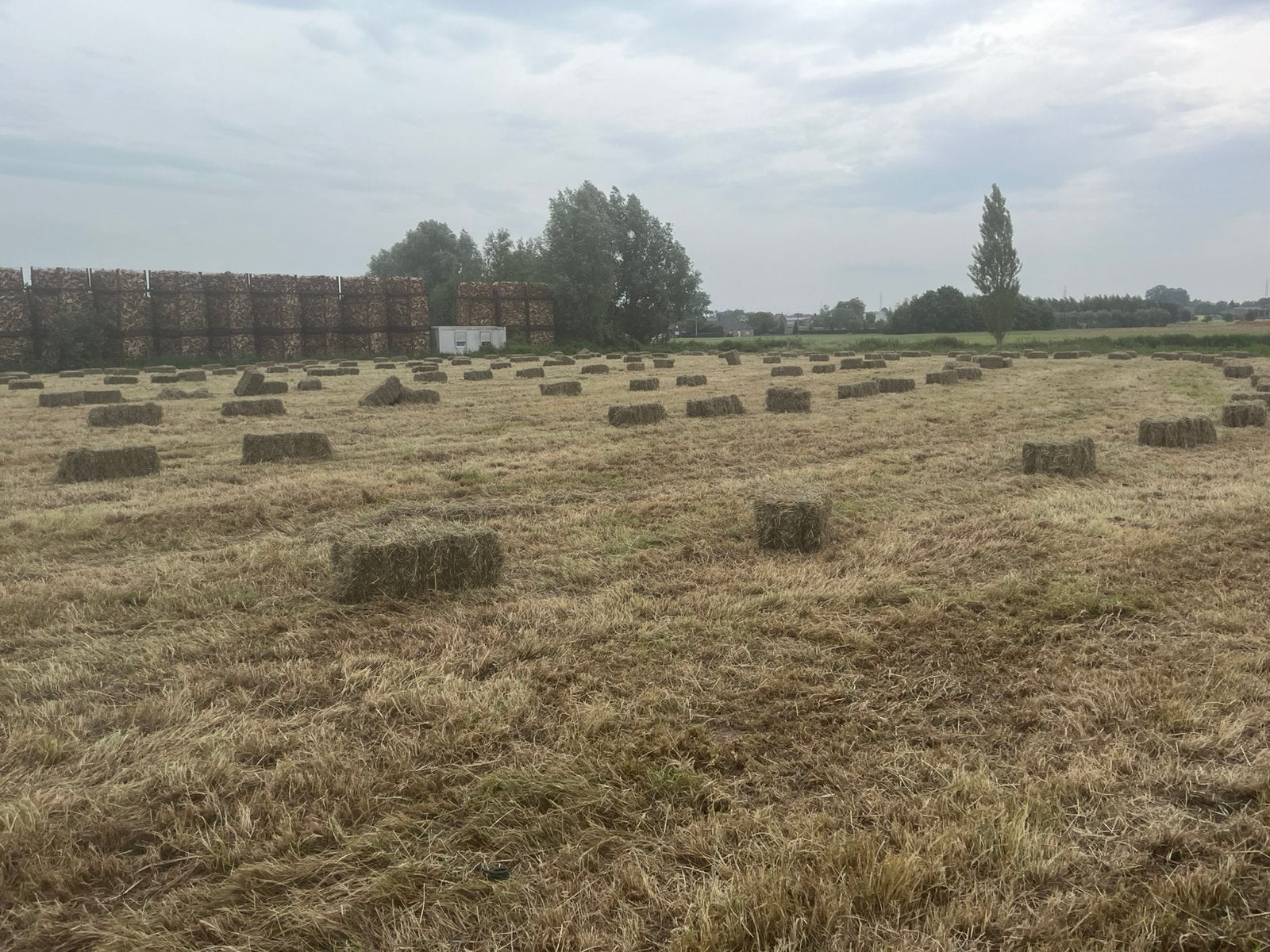Kleine pakjes hooi te koop, Dieren en Toebehoren, Ophalen