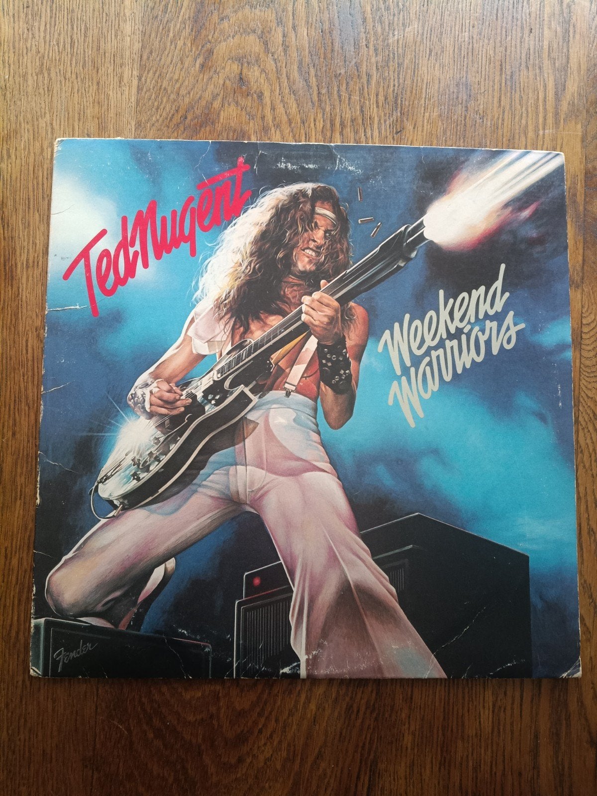 Vinyle 33T Ted Nugent, LP, Enlèvement ou Envoi, Autres formats, Utilisé