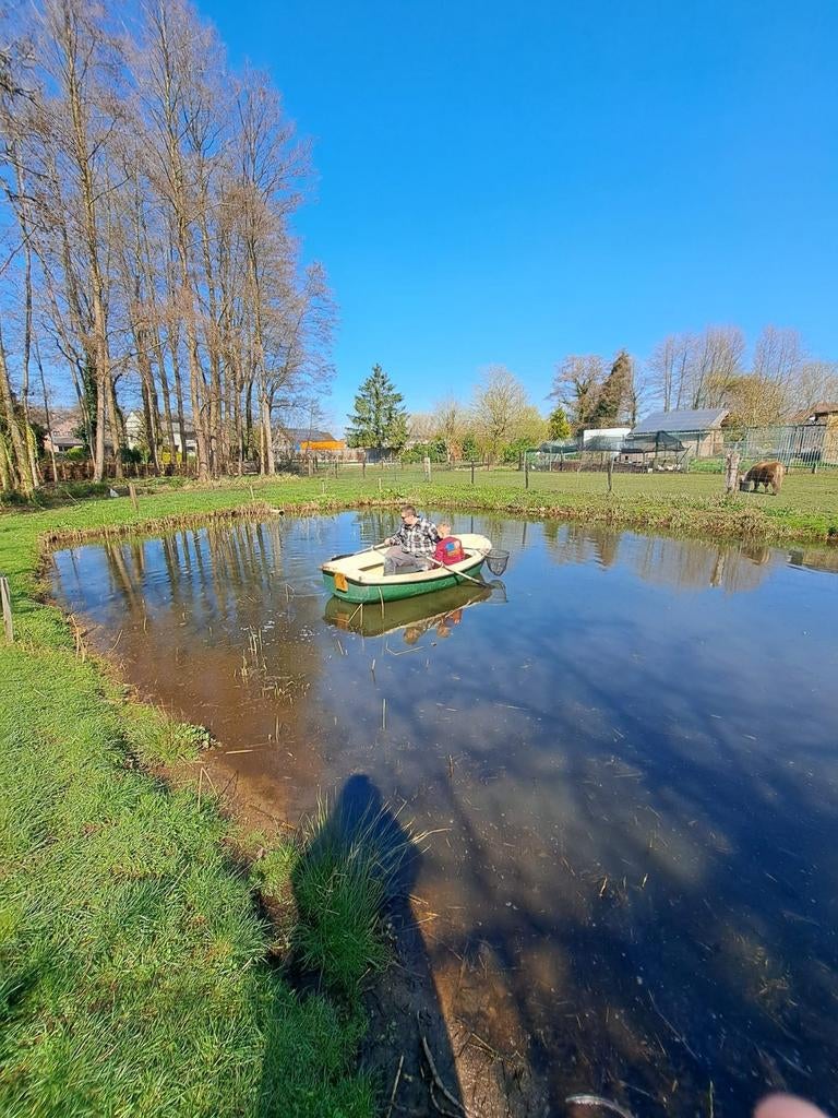 Gratis vissen gezocht voor grote natuurvijver, Dieren en Toebehoren