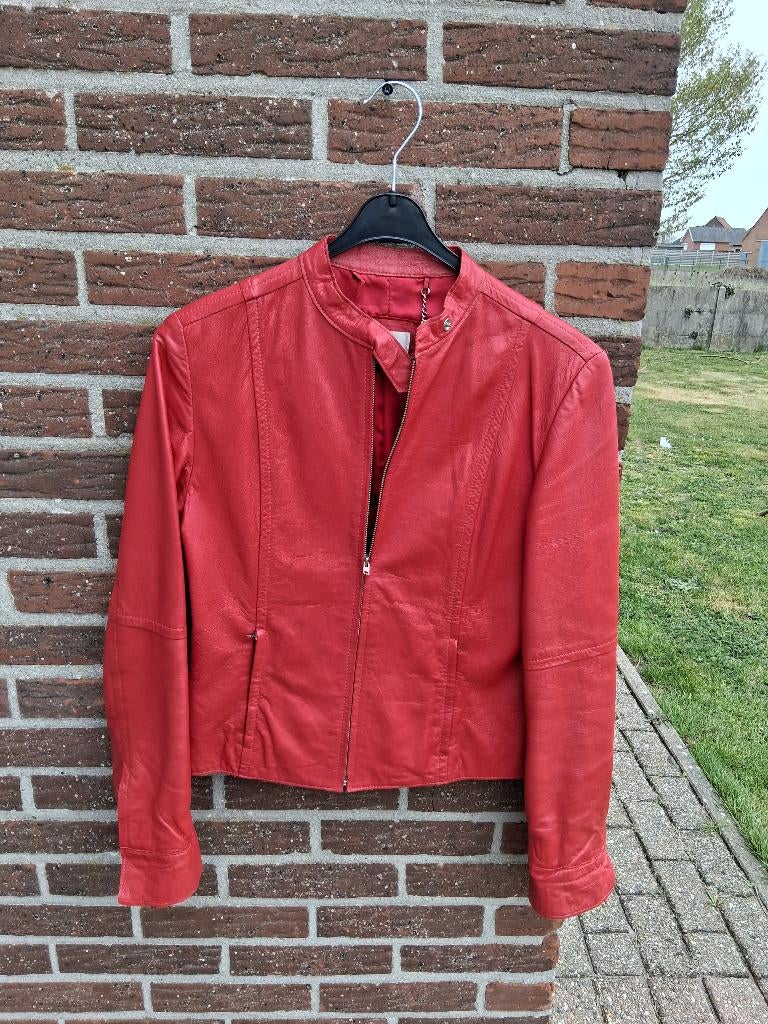 Dames leer jas MNG Mt M/38, Maat 38/40 (M), MNG, Ophalen of Verzenden, Gedragen