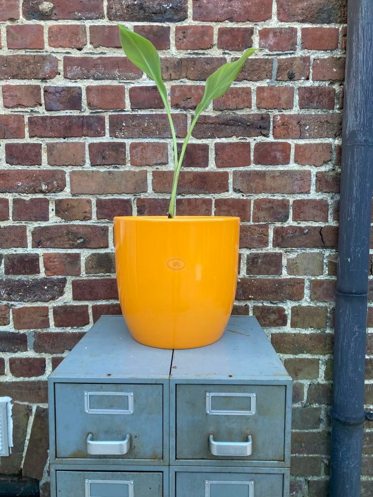 Soendgen Keramik bloem/ plantenpot, Ophalen of Verzenden