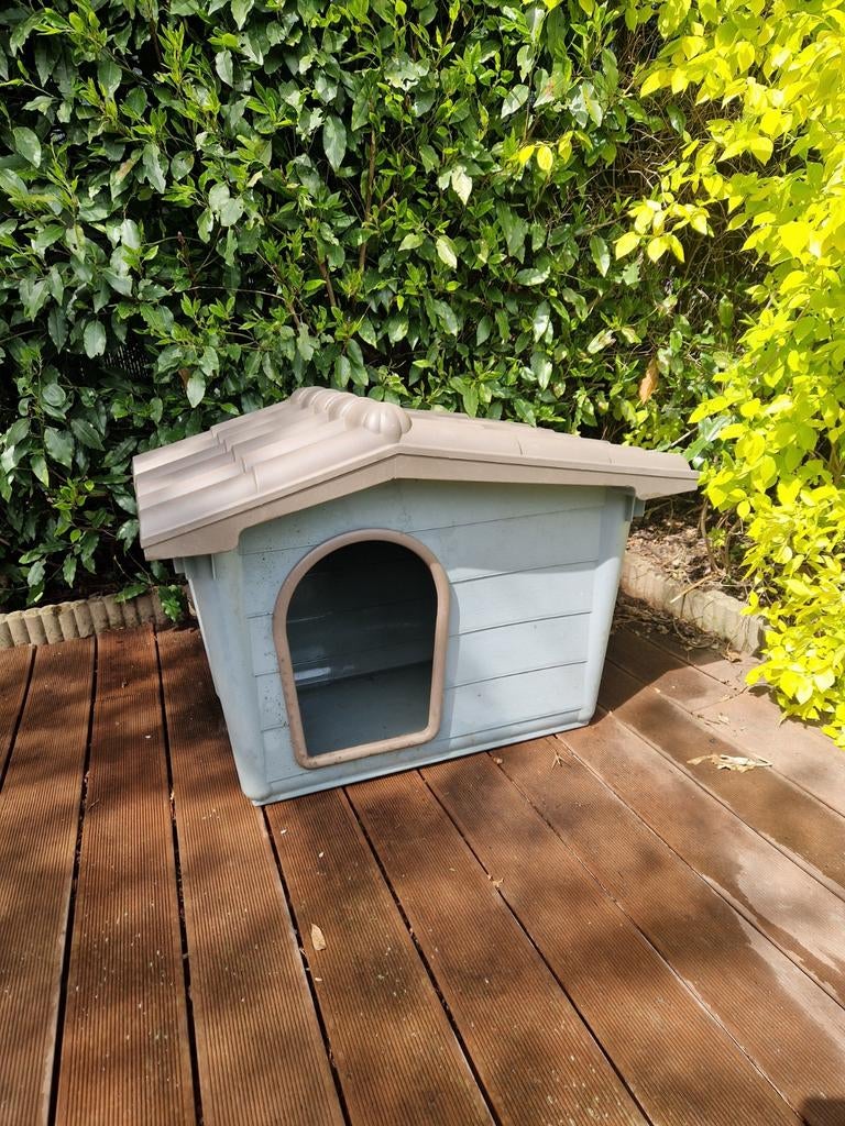 Niche pour chien ou chat, Enlèvement