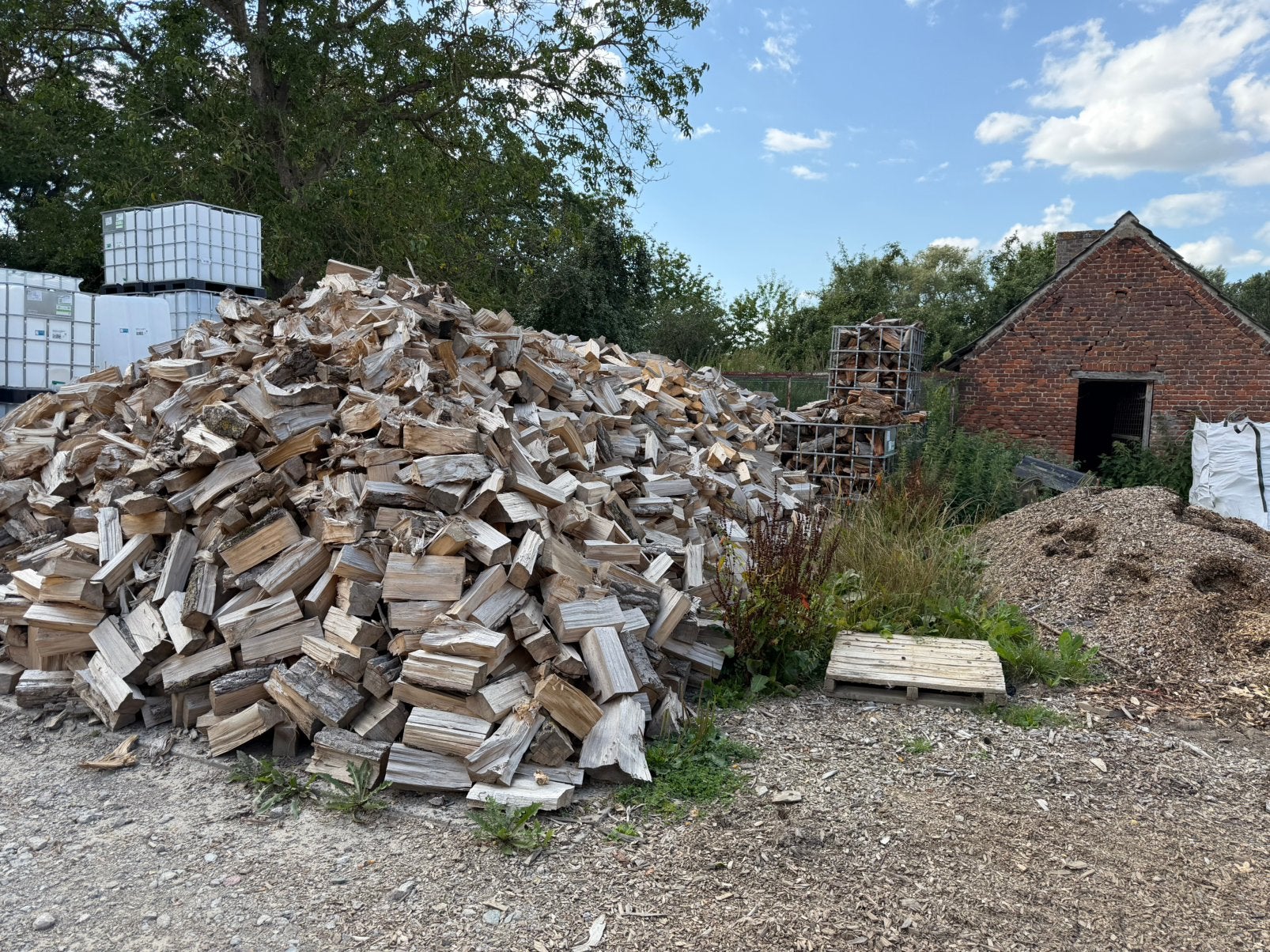 Brandhout van populier te Herne, 6 m³ ou plus, Enlèvement, Autres essences de bois, Bûches