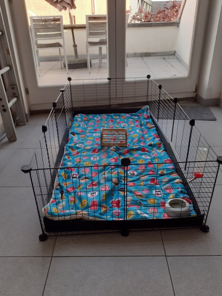 Cage cubique en fil métallique Kavee, Enlèvement, Utilisé, Cage, Cobaye