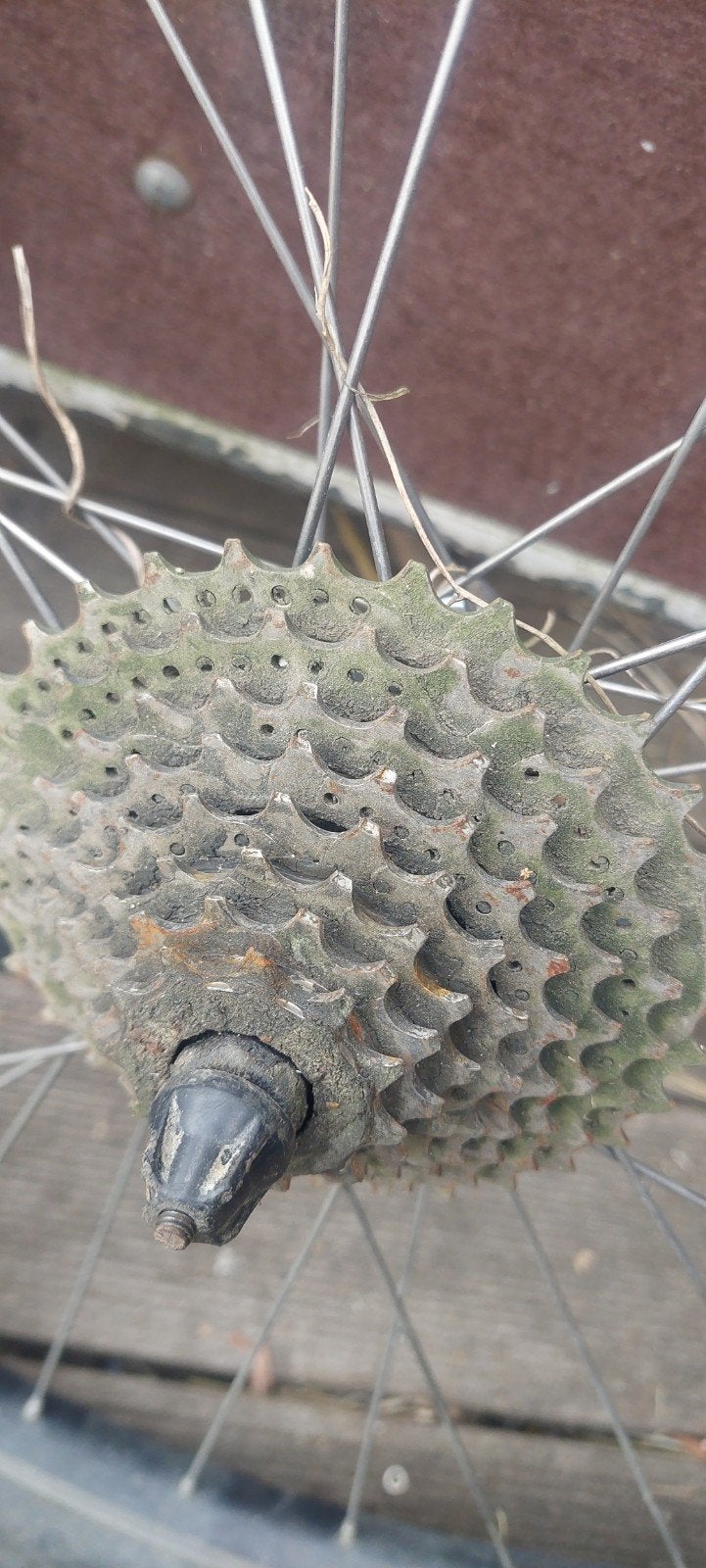 Plus un pneus avec et sur la roue aussi 26 p