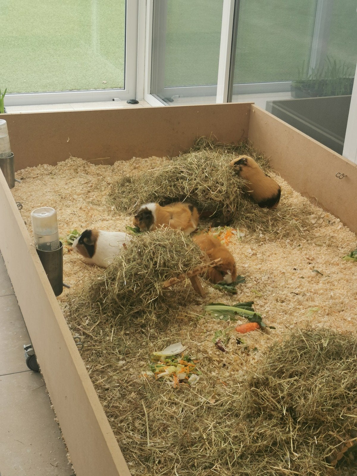 Caviaverblijf op wielen, 1,25 * 2,5 * 0,41 m, Dieren en Toebehoren, Ophalen