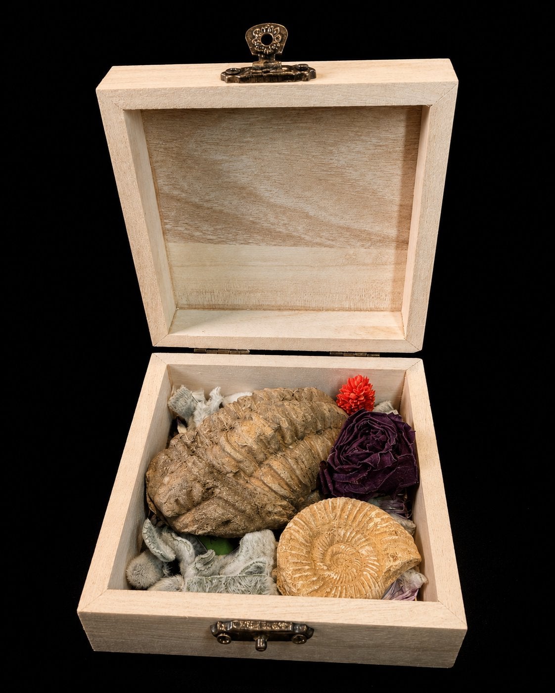 Coffrets cadeaux uniques fossiles et minéraux Green Gallery, Collections, Enlèvement, Fossile