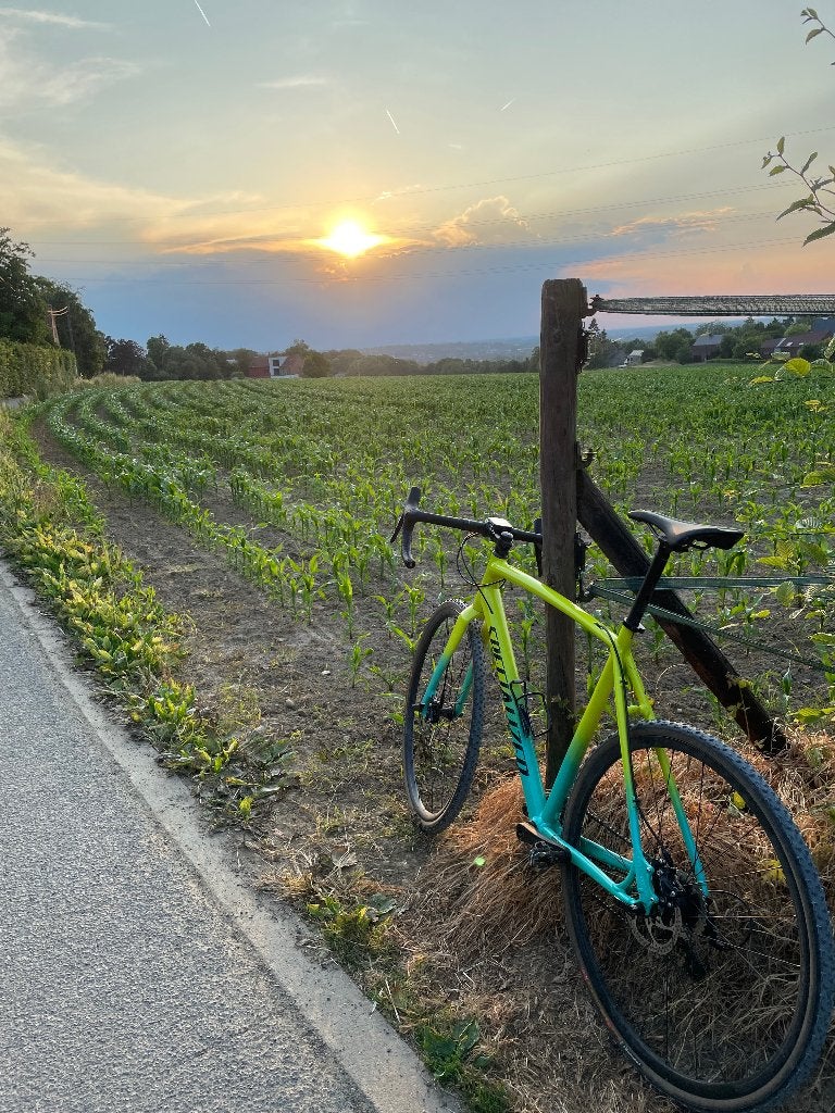 Specialized Crux, Gebruikt, 10 tot 15 versnellingen, Heren, Aluminium