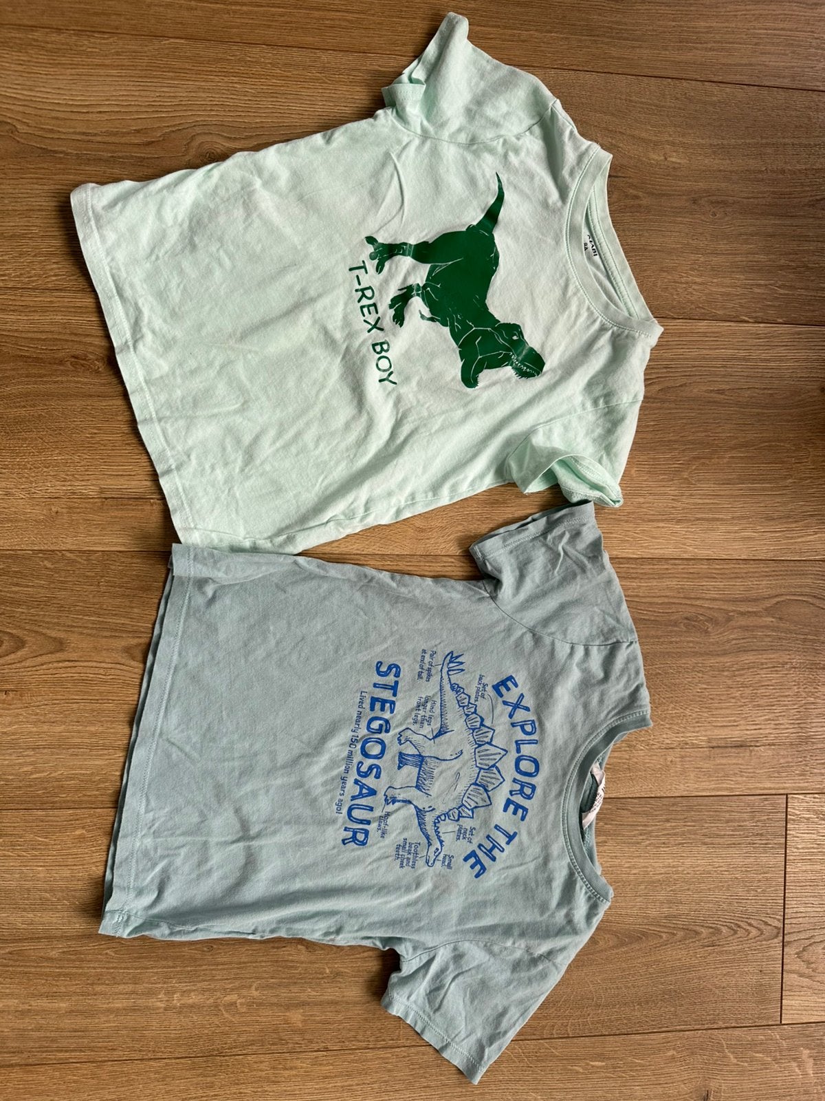 2 t-shirts dinosaure 6 ans, Kinderen en Baby's, Kinderkleding | Maat 158, Ophalen of Verzenden, Zo goed als nieuw