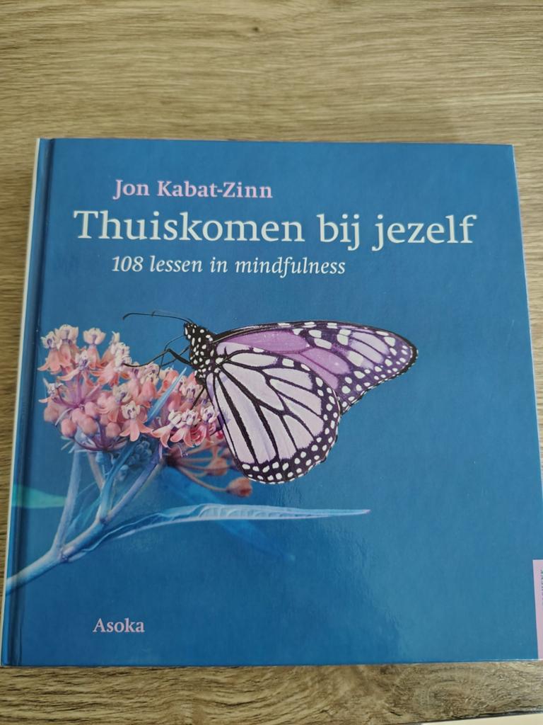 Jon Kabat-Zinn - Thuiskomen bij jezelf, Boeken, Ophalen, Jon Kabat-Zinn