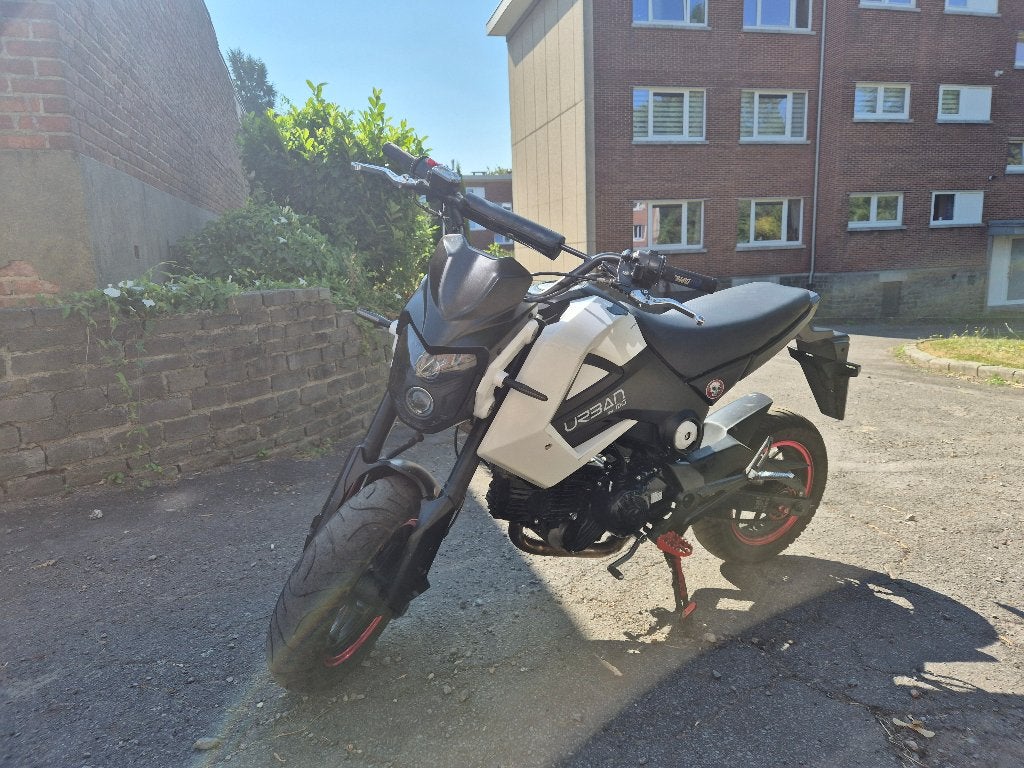 URBAN 50cc, Motos, Scooter, Entreprise, Occasion, Jusqu'à 11 kW