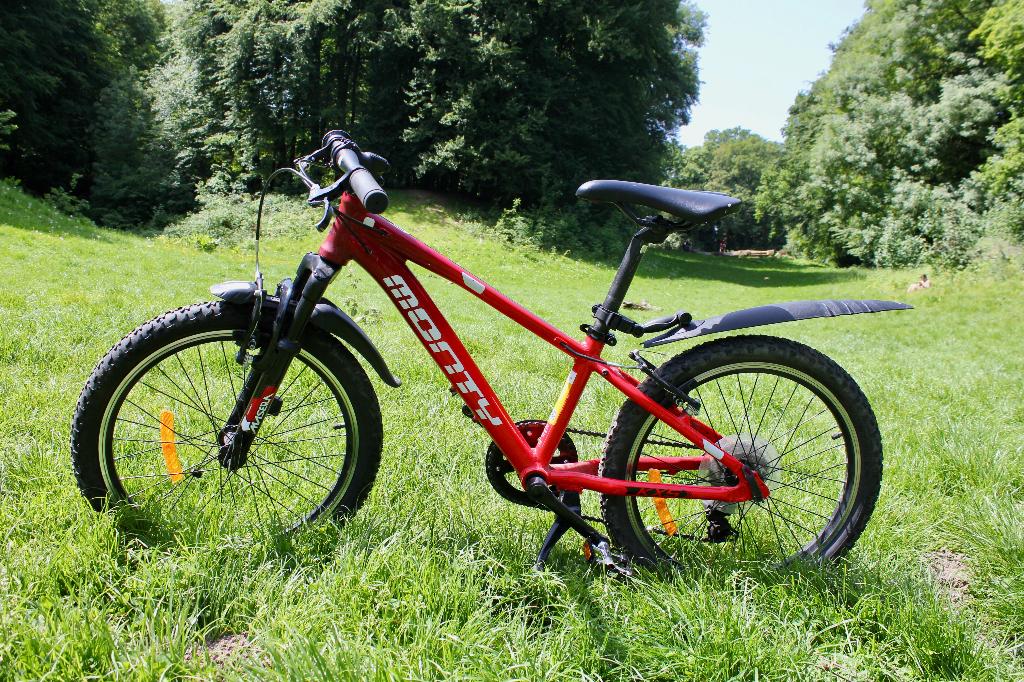 Vélo, Frein sur jante, Monty, 20 pouces, Enlèvement