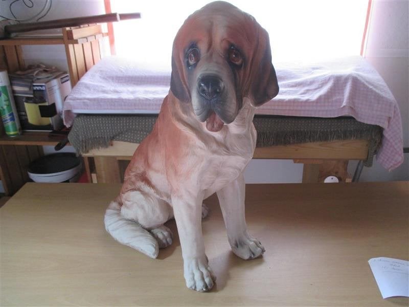 beeld hond, Verzamelen, Ophalen, Gebruikt