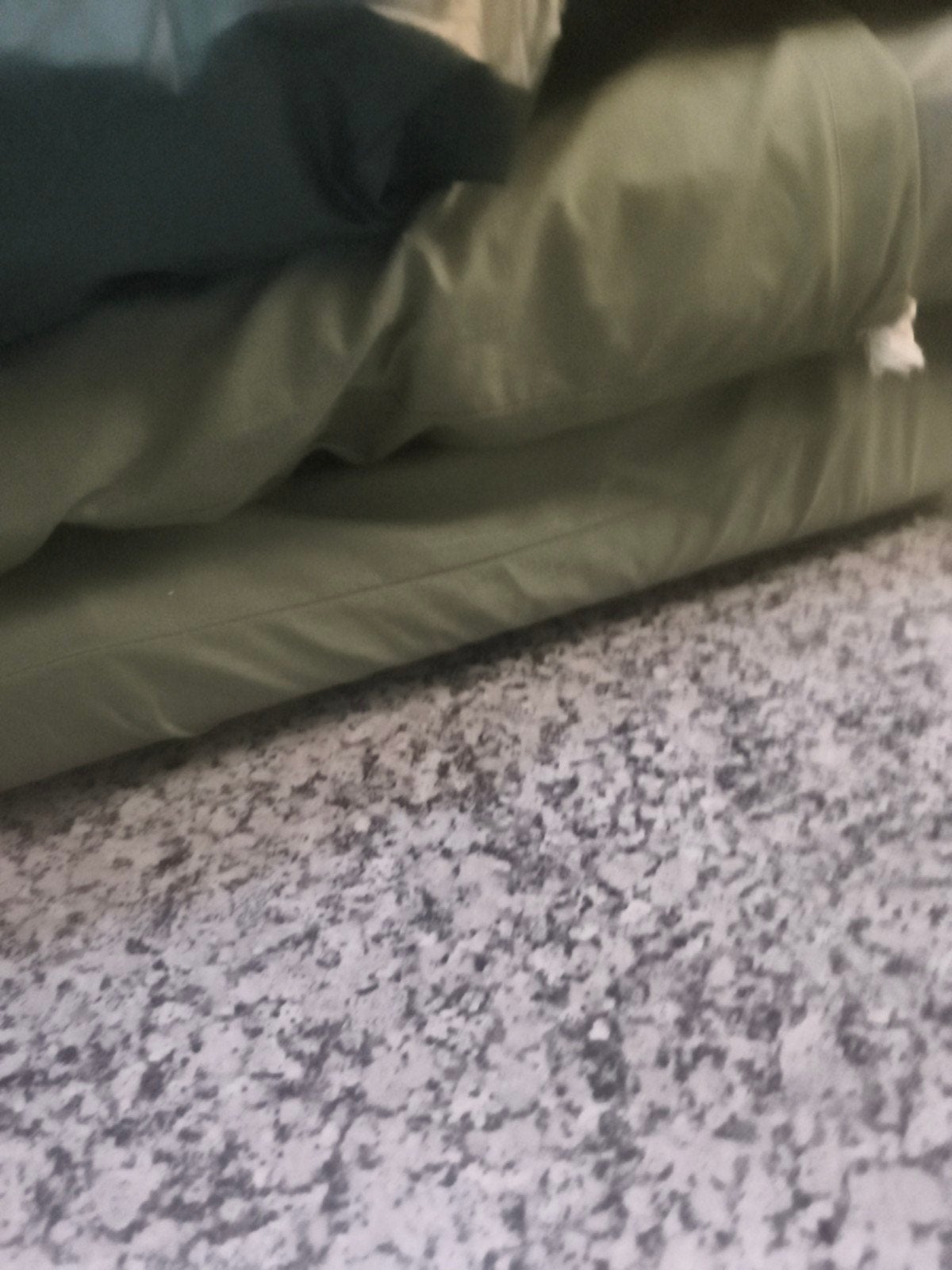 Tent Erdman Schmidt volledig in katoen aan meeneemprijs, Ophalen
