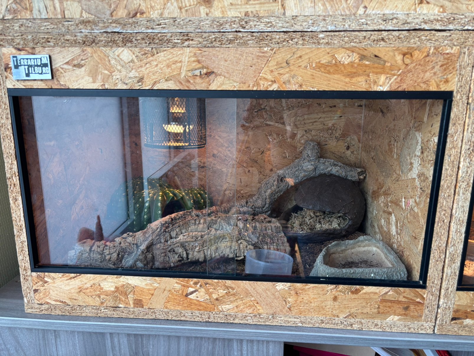 Osb terrarium, Enlèvement, Comme neuf