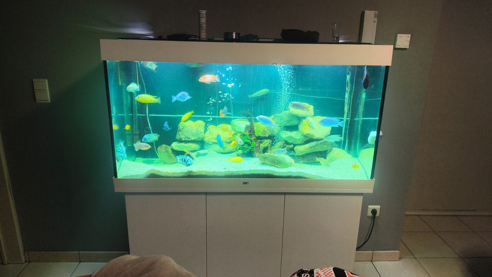 Juwel aquarium, Enlèvement, Chauffage, Comme neuf, Juwel