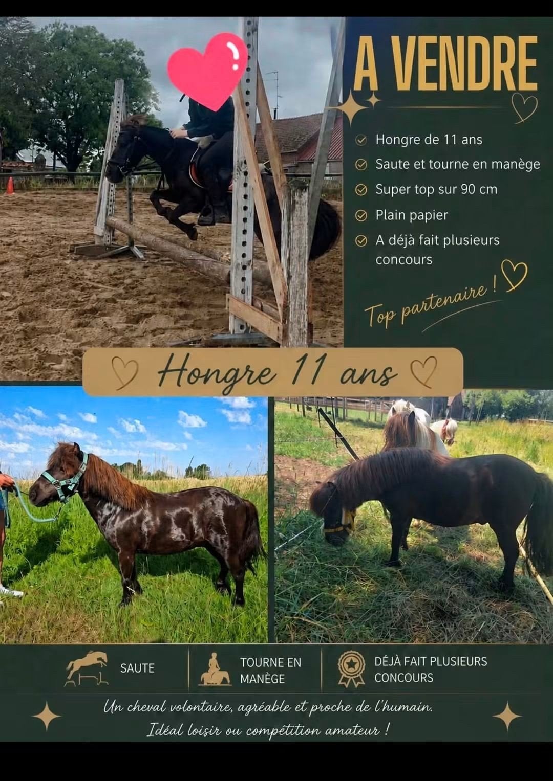 cheval, Enlèvement