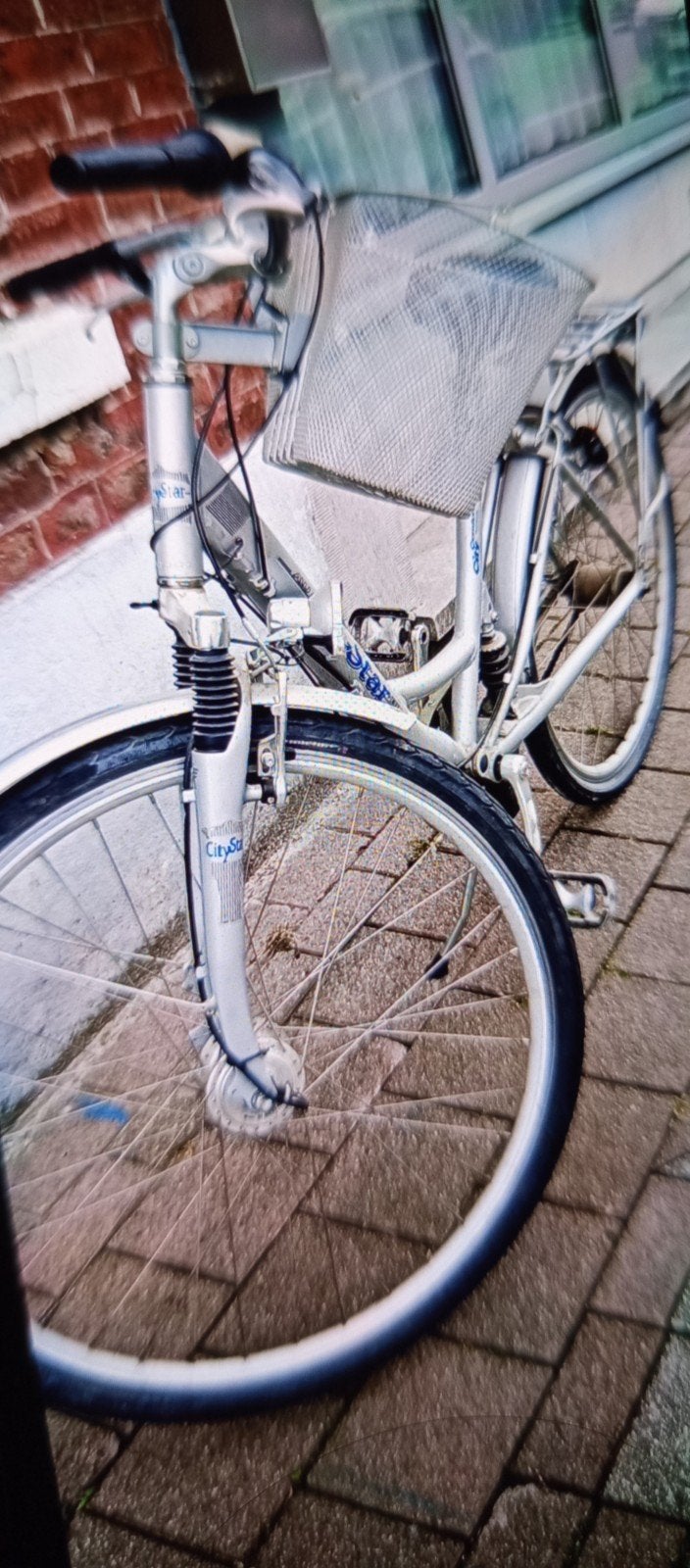 Dammens fiets, Enlèvement
