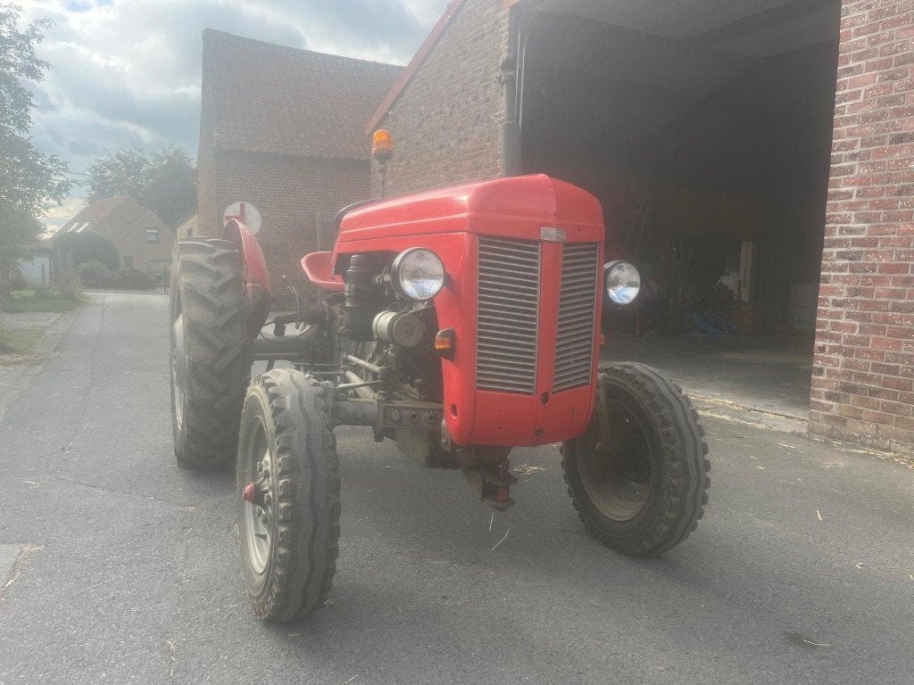 Tracteur Ferguson à vendre, Articles professionnels, Enlèvement, Oldtimer/Ancêtre, Jusqu'à 80 ch, Fendt