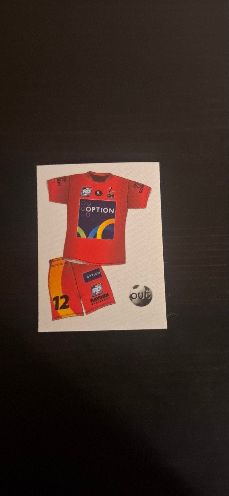 Panini voetbal 2013, Ophalen of Verzenden
