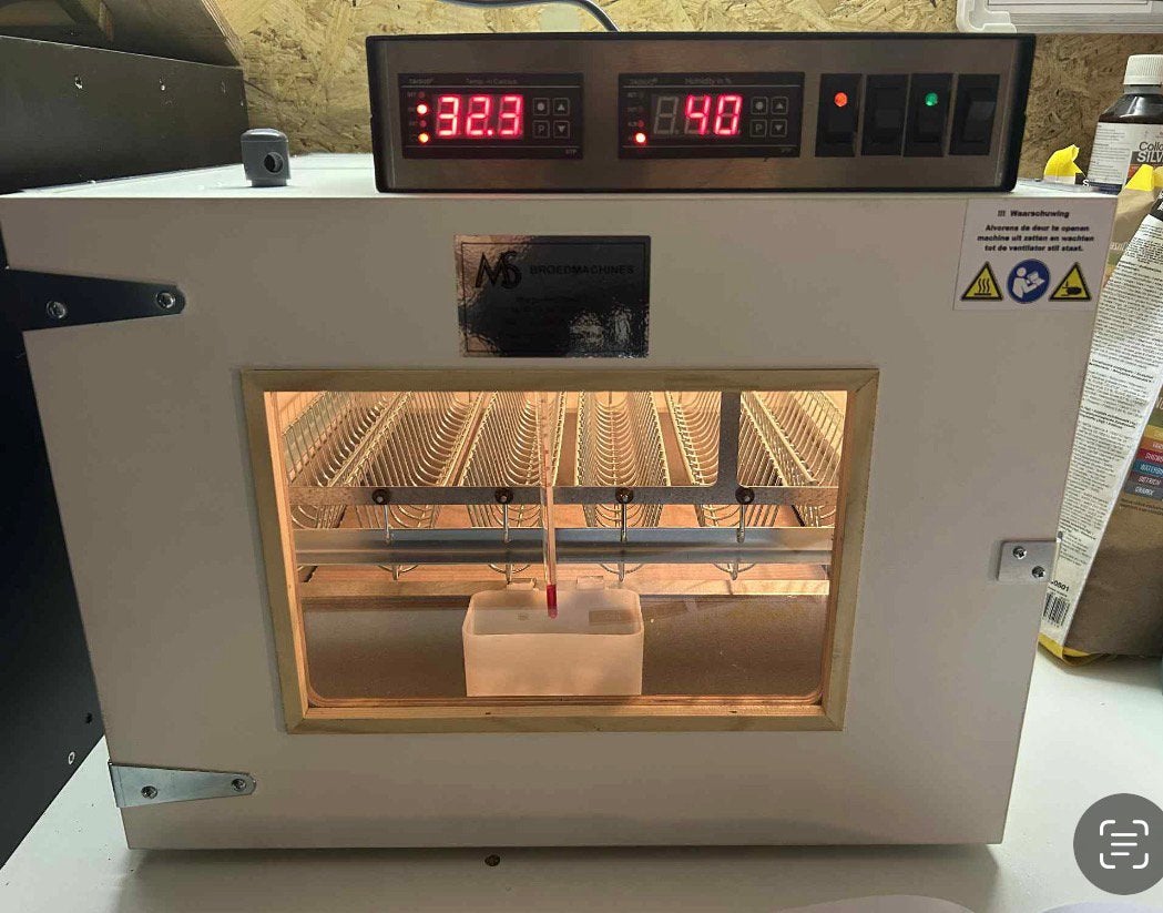 MS50 Broedmachine, Enlèvement, Comme neuf, Couveuse